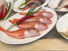 -阳光海鲜城(太仓万达店)