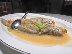 -金成潮菜博物馆(海珠湿地店)