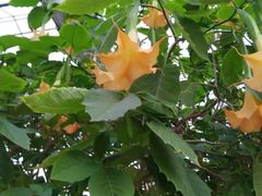 -天源吉布世温泉水乐园