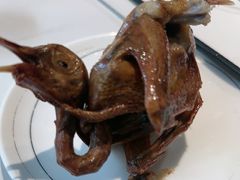 -琬苑鸽庄·川粤融合菜(解放碑总店)