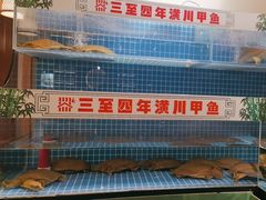 -西郊竹园甲鱼面(老一中店)