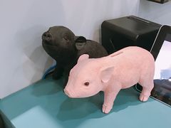 -WHEN PIGS FLY当猪飞