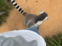 -秦皇岛野生动物园