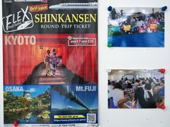 -樱花国际日语(人广中心)