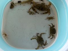 -那香海钻石沙滩浴场