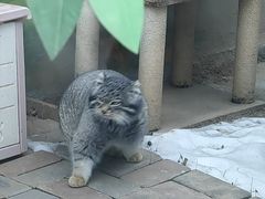 -青藏高原野生动物园