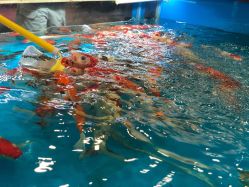 -宝贝王(许昌店)