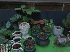 -箱美术馆私房菜(水晶郦城店)