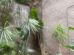 -渝半城经典川粤菜(重庆天地店)