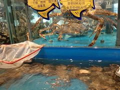 -海铺·渔家虾水饺(皇姑店)