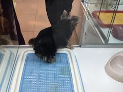 -乐宠宠物店(世纪金源店)