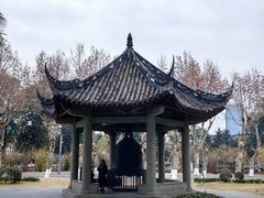 -四川大学(望江校区)