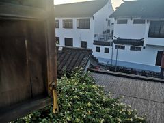 -普洱茶府(博乐广场店)
