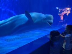 -多彩贵州城极地海洋世界