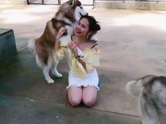 -TrueLove @ Neverland (Husky Cafe)