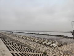-南汇新城海滩