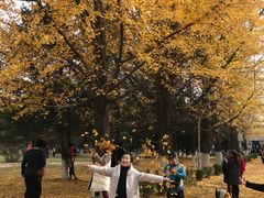 -辽东学院(南校区)