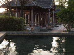 -天芳悦潭度假村温泉