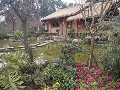 -南山植物园