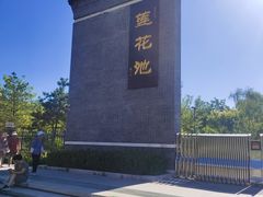 -莲花池公园