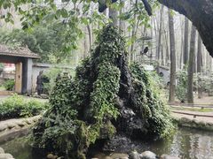 -林间山庄