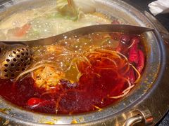 -熊喵来了火锅·牧场好肉(邯郸邯山万达店)