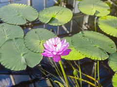 -国家植物园南园