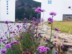 -紫海香堤香草艺术庄园