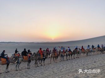 滑沙！去沙漠必玩很刺激 特别好玩！