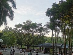 -莲花山公园