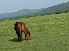 -塞罕坝国家级自然保护区