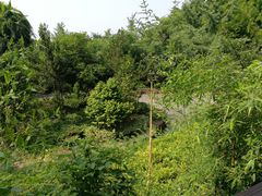 -九龙潭景区