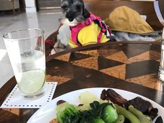 -上海崇明金茂凯悦酒店