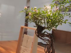 -七色云蔬食(喜邻里店)