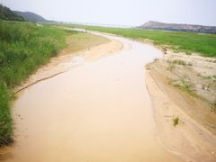 -白氏鲶鱼汤(白亮1号店)