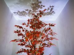 -朴境采耳·足道按摩(科学大道旗舰店)