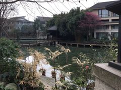 -青城道汤池