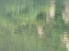 -广鹿岛