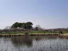 -上海海湾国家森林公园