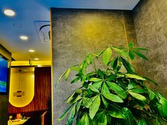 -椰子湾·海南火锅·糟粕醋·椰子鸡(正大广场店)