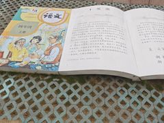 -观潮胜地公园