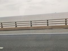 -洋山深水港