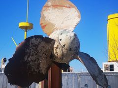 -清风小镇闯关东影视基地