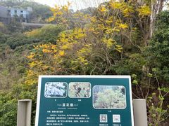 -福道
