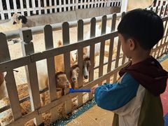 -广州长隆国际大马戏