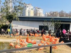 -武汉动物园