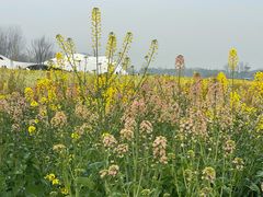 -中国天府农业博览园