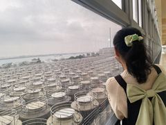 -厨邦酱油文化博览馆