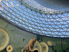 -陕西自然博物馆