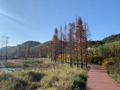 -广州市石门国家森林公园